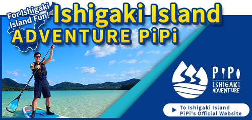 石垣島で遊ぶなら石垣島ADVENTURE PiPi