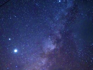 【夜】天然のプラネタリウム！亜熱帯ジャングル&星空ナイトツアー