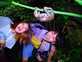 【夜】天然のプラネタリウム！亜熱帯ジャングル&星空ナイトツアー