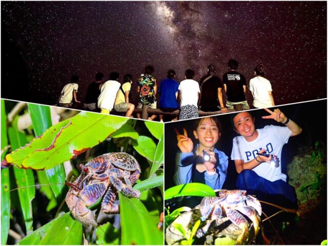 【夜间】邂逅英仙座流星雨!星空观赏&亚热带丛林夜游