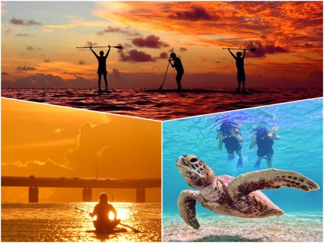 サンセット　ウミガメシュノーケリング