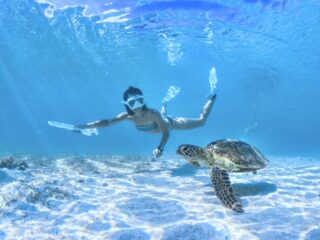 【半日】世界有数の遭遇率！宮古島ウミガメシュノーケリングツアー