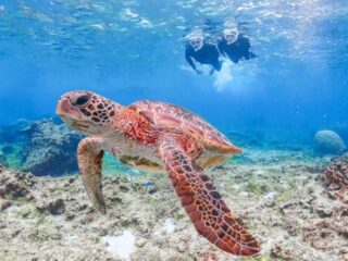 【Full-Day Private】 Have a Guide All to Yourself! Private VIP Charter Tour