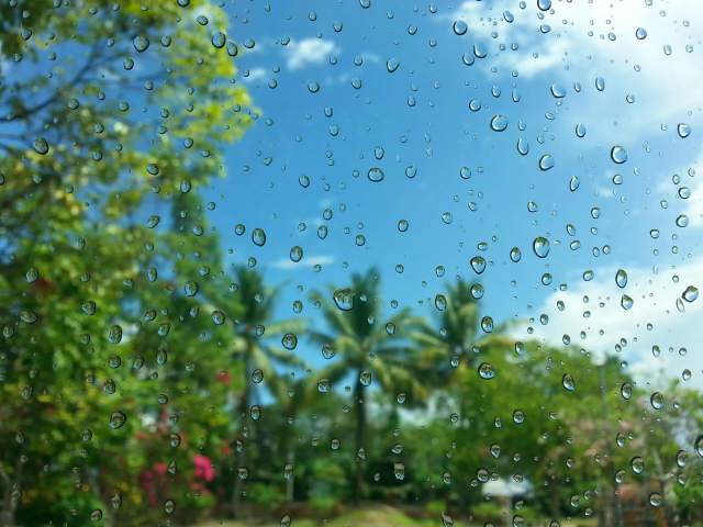 rain 
