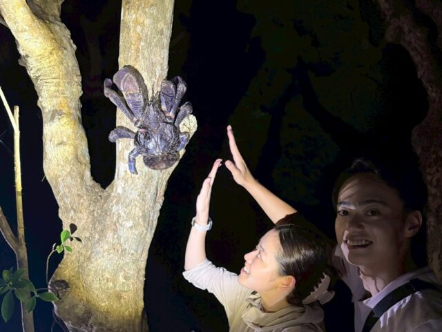 夜間導覽