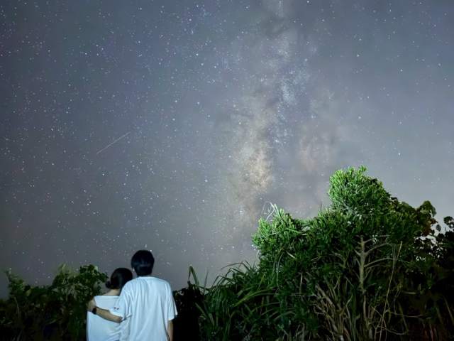 夜間導覽