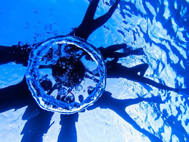 宮古島　ウミガメシュノーケリング