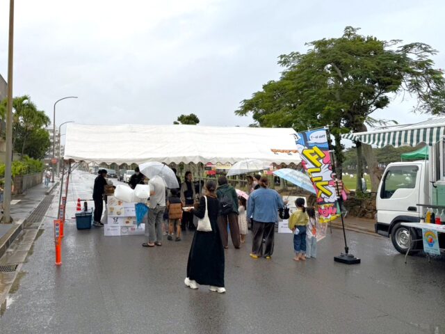 ISHIGAKI WINTER LIGHTS 2025