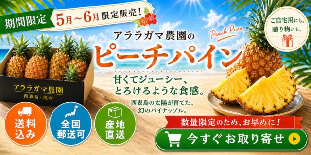 沖縄ちゅらストア