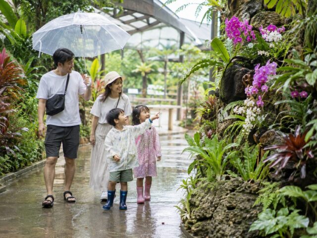 熱帯植物園