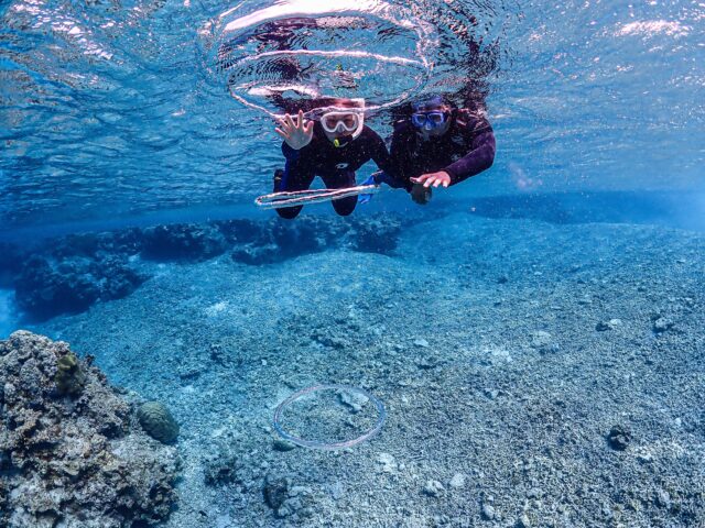snorkeling