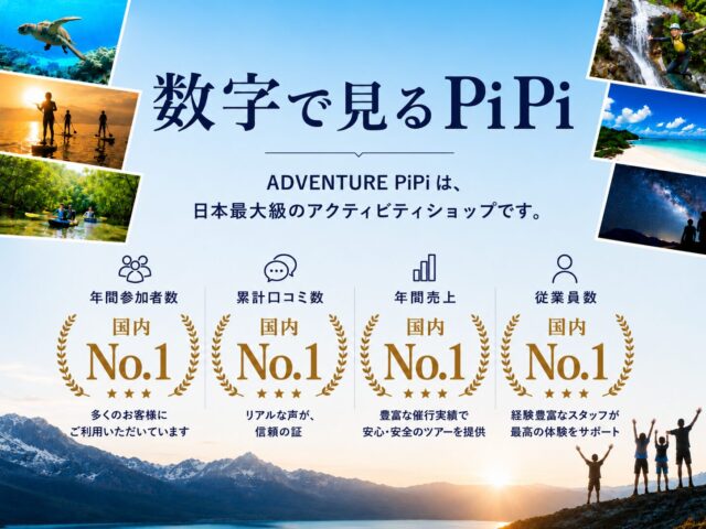 数字で見るPiPi KV